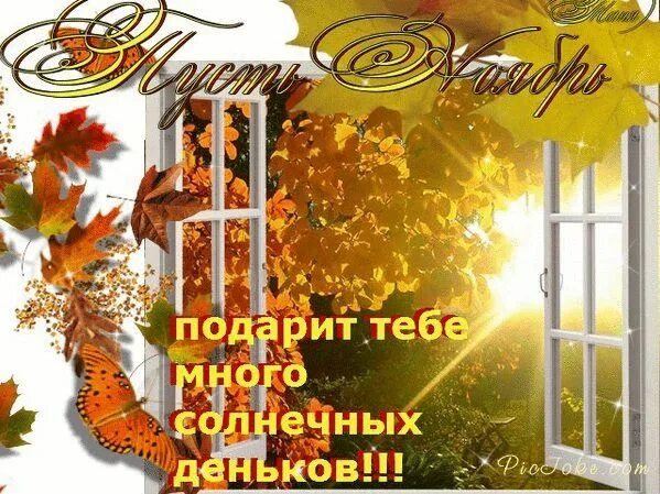 Картинка доброго октябрьского дня с пожеланиями Привет ноябрь-последний месяц осени - Ноябрьский приветик! картинки ноября краси