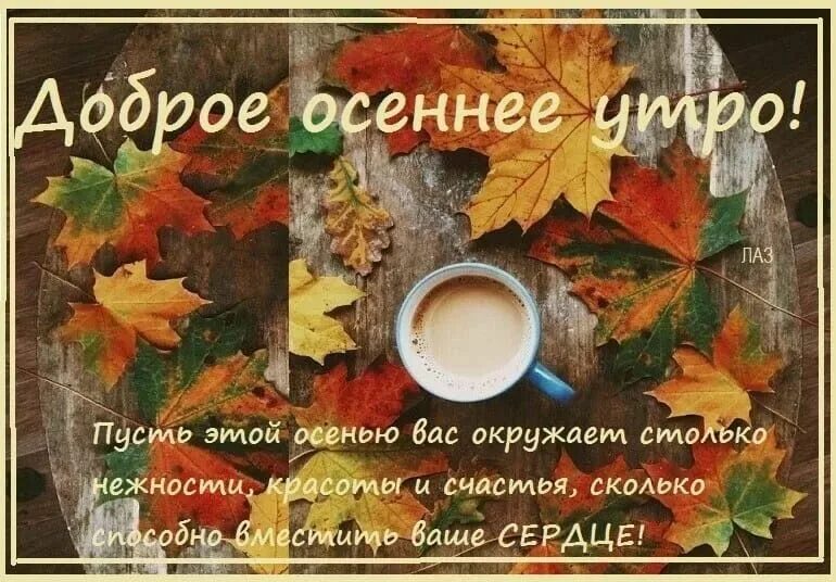Картинка доброго октябрьского дня с пожеланиями Пин на доске Доброе утро, день (осень) Картинки, Нежности, Весна
