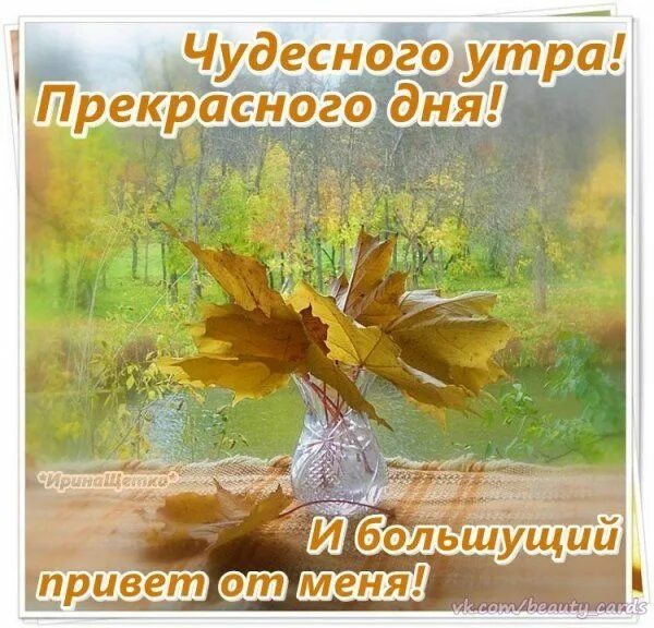 Картинка доброго осеннего утра и прекрасного дня Картинки - С добрым утром 2024 (Красивые открытки)