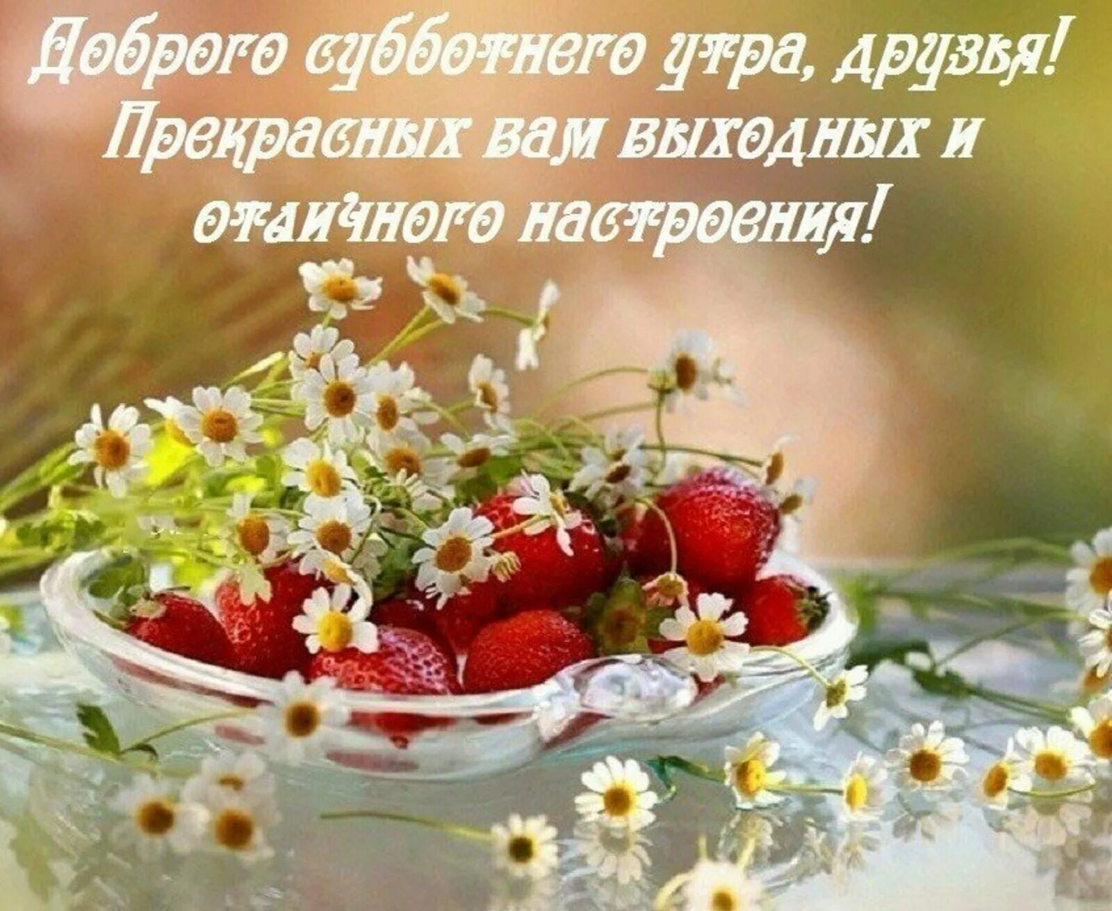 Картинка доброго субботнего утра и хорошего Доброе утро, дорогие друзья!