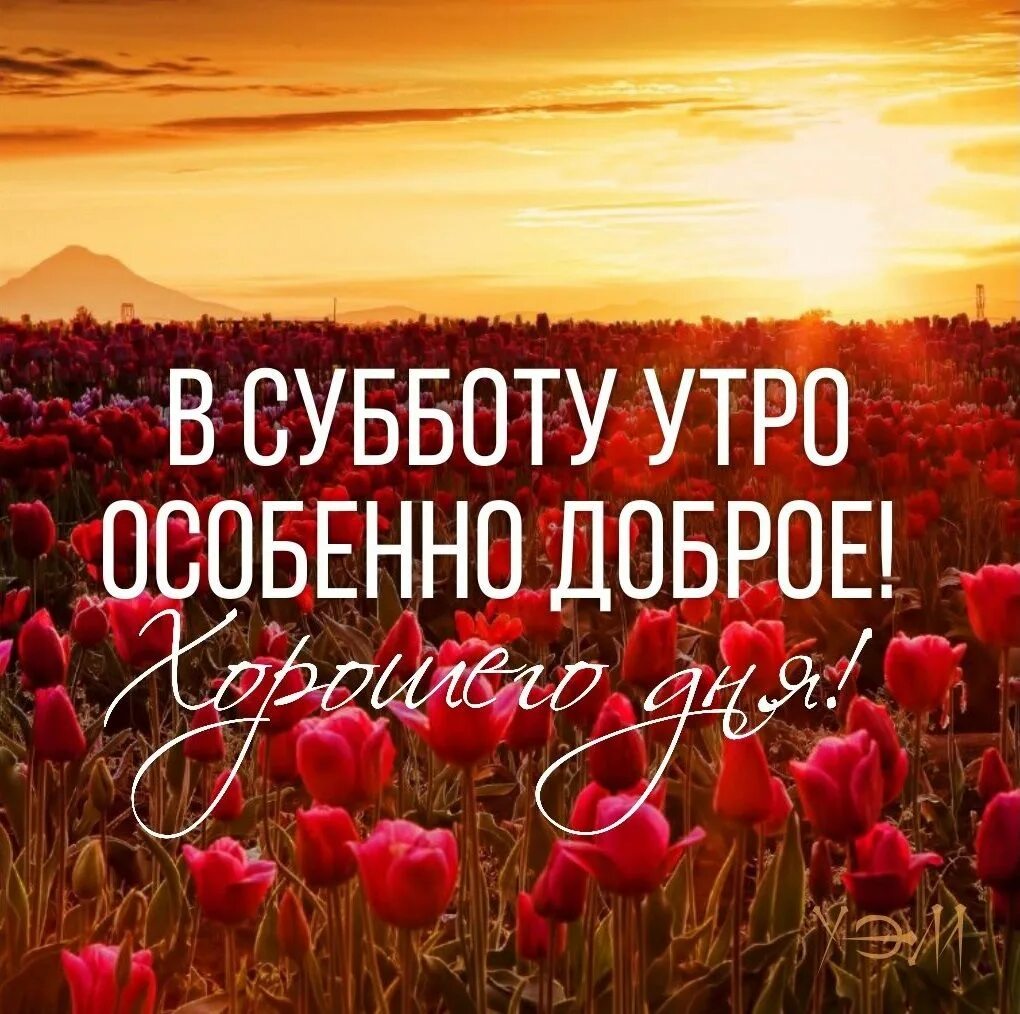Картинка доброго субботнего утра и хорошего Пожелания с добрым утром субботы Субботы, Доброе утро, Картинки
