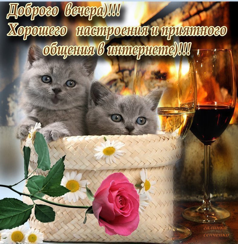 Картинка доброго вечера и хорошего настроения женщине ЭЙЙЙЙ!!!!! ИНТЕРНЕТ-ЗАВИСИМЫЕ)))!!! ловите пак открыток от ... Дзен Фотострана П