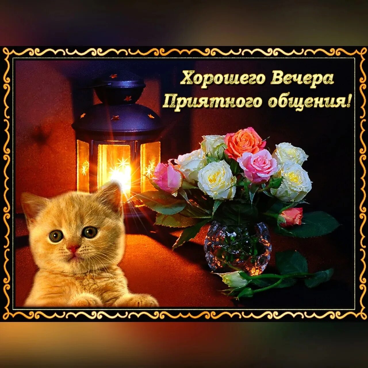 Картинка доброго вечера и хорошего настроения женщине Проведи сегодня вечер Так, как хочется тебе: Посмотри любимый трейлер, Ты сделай