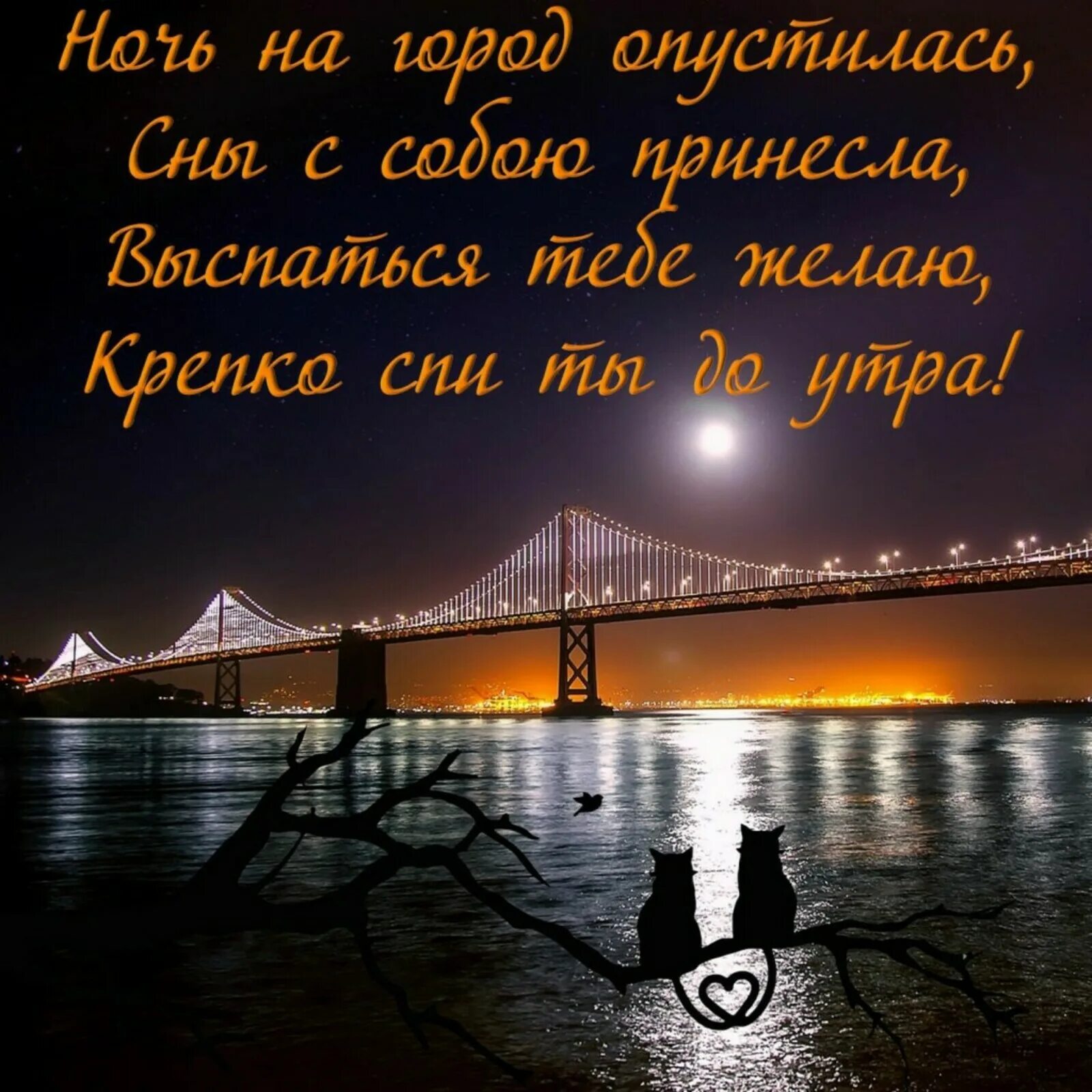 Картинка доброго вечера и спокойной ночи мужчине Пожелания на вечер и ночь: найдено 77 изображений