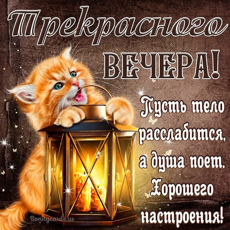 Картинка доброго вечера самой лучшей вечера #картинки 2023 Доброе утро любимая ВКонтакте