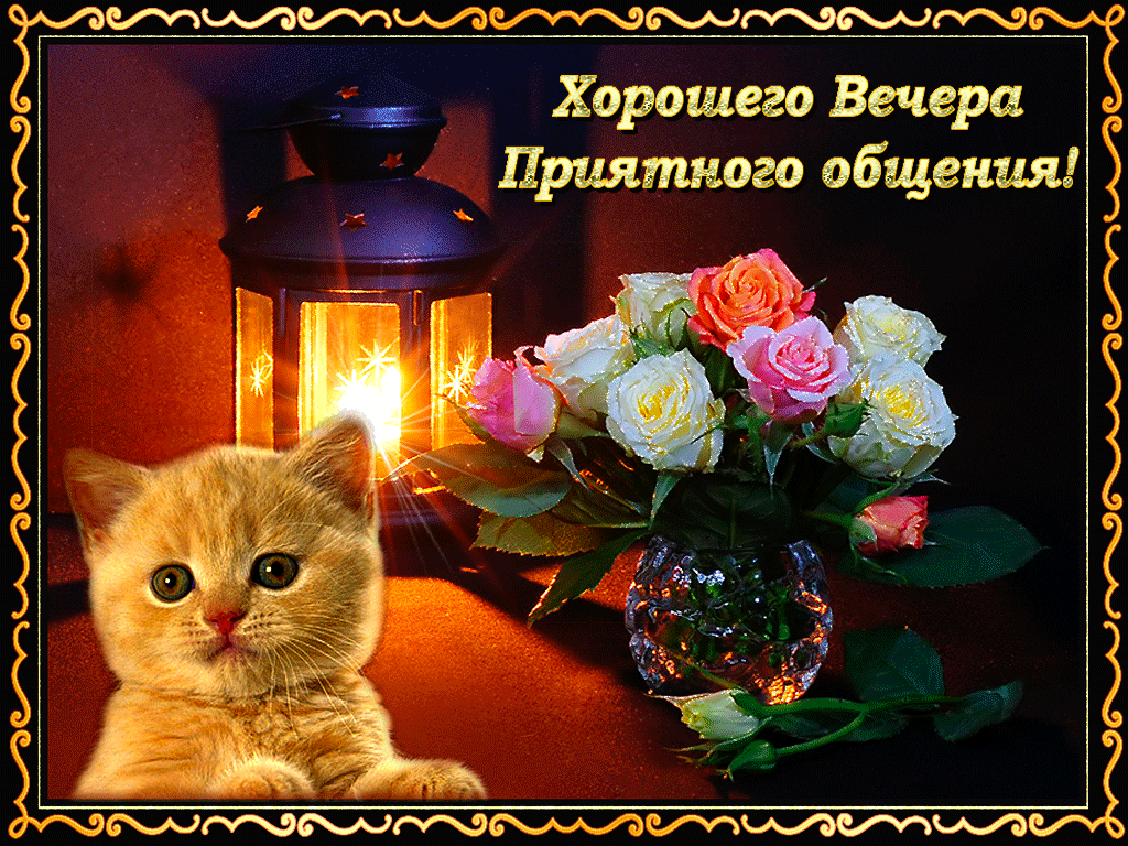 Картинка доброго вечера самой лучшей вечера Хорошего-веч Спокойной ночи, Кофейные карточки, Открытки