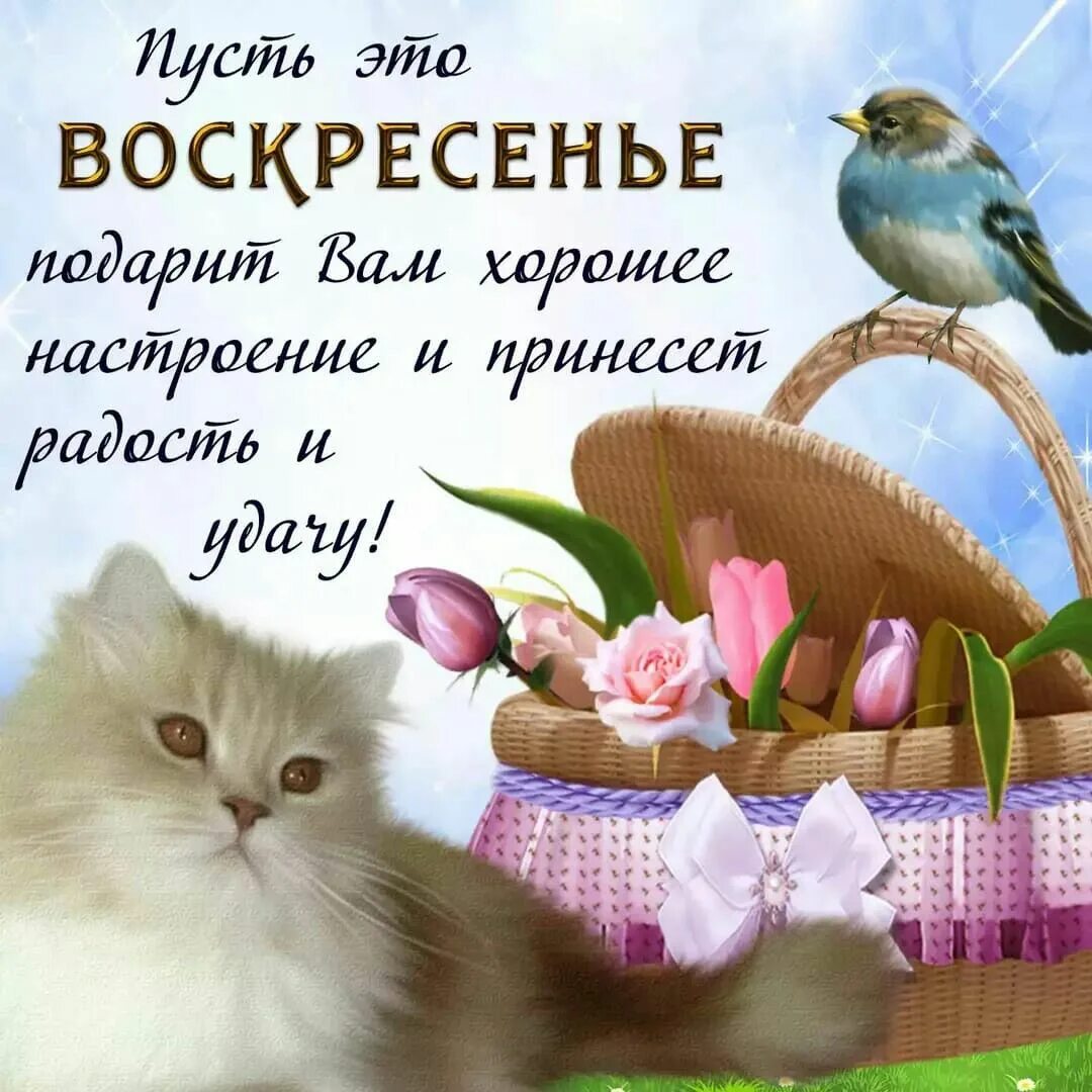 Картинка доброго воскресенья и хорошего дня Pin on Дни недели -новое. Thanks card