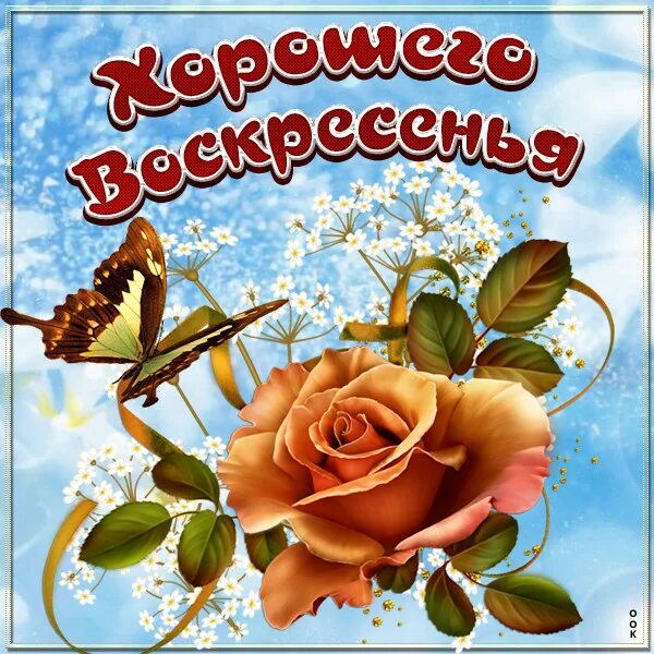 Картинка доброго воскресенья и хорошего дня НАСТРОЕНИЕ МОЕГО ВОСКРЕСЕНЬЯ... - Просто ДОБРОЕ УТРО , пользователь Галина Алик 