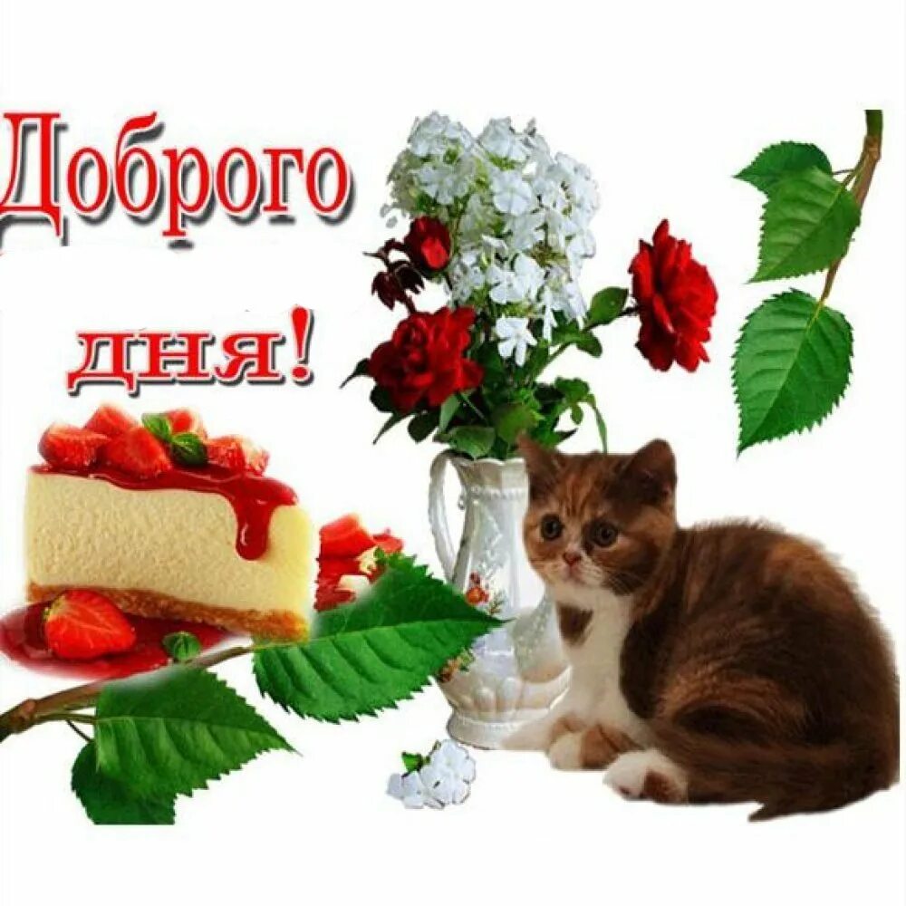 Картинка доброго воскресенья и хорошего дня Доброго воскресного утра и хорошего настроения - 76 фото