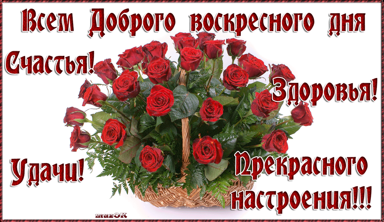 Картинка доброго воскресенья и хорошего дня Доброго воскресного дня. Праздничные подарки, Воскресенье, Утро воскресенья