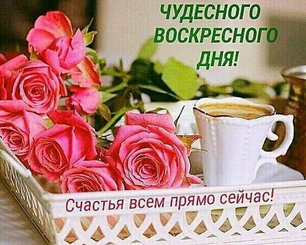 Картинка доброго воскресенья и хорошего дня Поздравления с добрым утром ВОСКРЕСЕНЬЯ в картинках - Открытки доброго утра воск