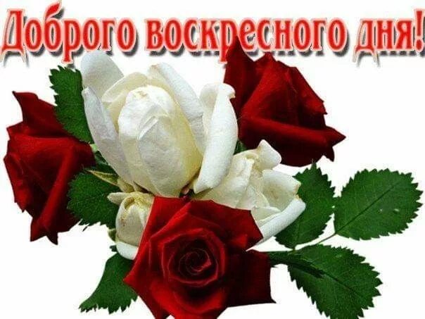 Картинка доброго воскресенья и хорошего дня Pin auf Пожелания с добрым утром