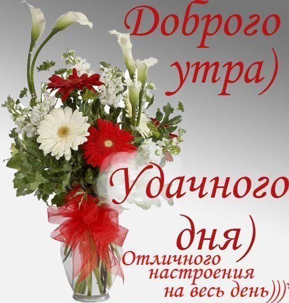 Картинка добрый день хорошего дня желаю Пин на доске Доброе утро Доброе утро, С днем рождения, Утренние сообщения