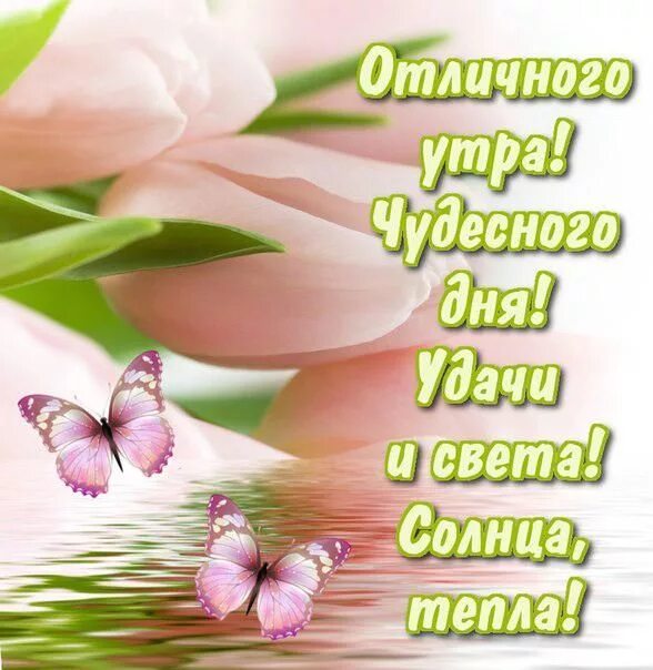 Картинка добрый день хорошего дня желаю Открытки Открытки и картинки Хорошего дня Открытка, пожелание, хорошего дня. Отк