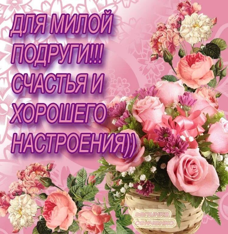 Картинка добрый день хорошего подруга ОТКРЫТКИ on Viber