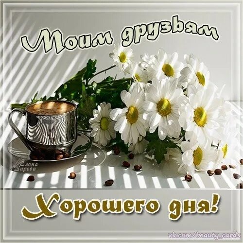 Картинка добрый день хорошего подруга Утро добрых шепотков... :-)) - Просто ДОБРОЕ УТРО , пользователь Жень-ШеньКа . Г