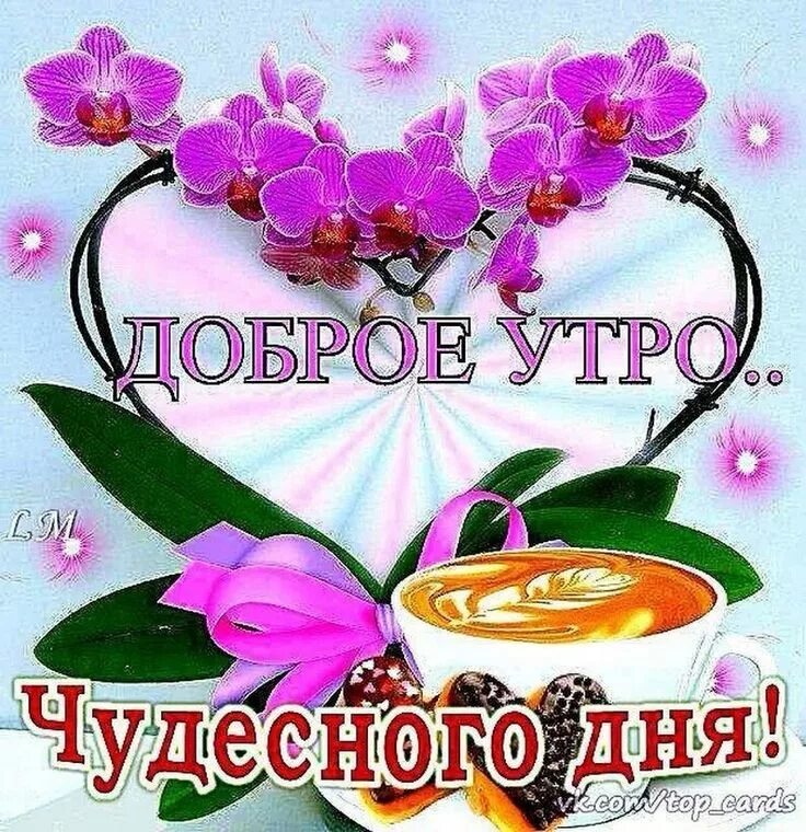 Картинка добрый утро чудесного хорошего дня Pin de Жанна en Доброе утро Saludos de buenos dias, Buenos días saludos, Emotico