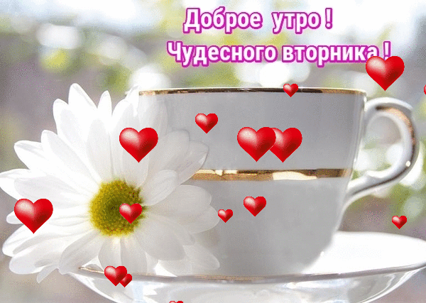 Картинка добрый утро чудесного хорошего дня Доброе утро - "Я и ты Водолей - вместе будет веселей.", пользователь Ольга Плесо