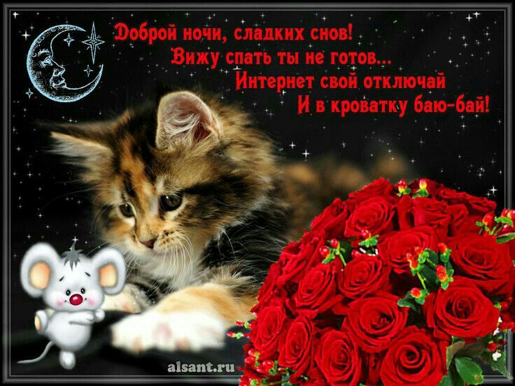 Картинка добрый вечер доброй ночи женщине Пин на доске споки-ноки Ночь, Спокойной ночи, Гифки