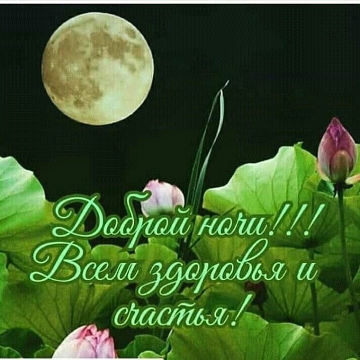 Картинка добрый вечер доброй ночи женщине ПРИВЕТСТВИЯ и ПОЖЕЛАНИЯ, открытки на каждый день. - 15 июля 2020 в 21:32