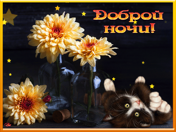 Картинка добрый вечер доброй ночи женщине Доброй ночи! Ночь, Открытки, Спокойной ночи