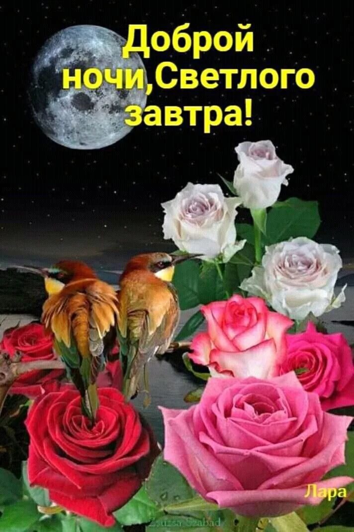 Картинка добрый вечер доброй ночи женщине Пин от пользователя Римма на доске Добрый вечер, спокойной ночи. Спокойной ночи,