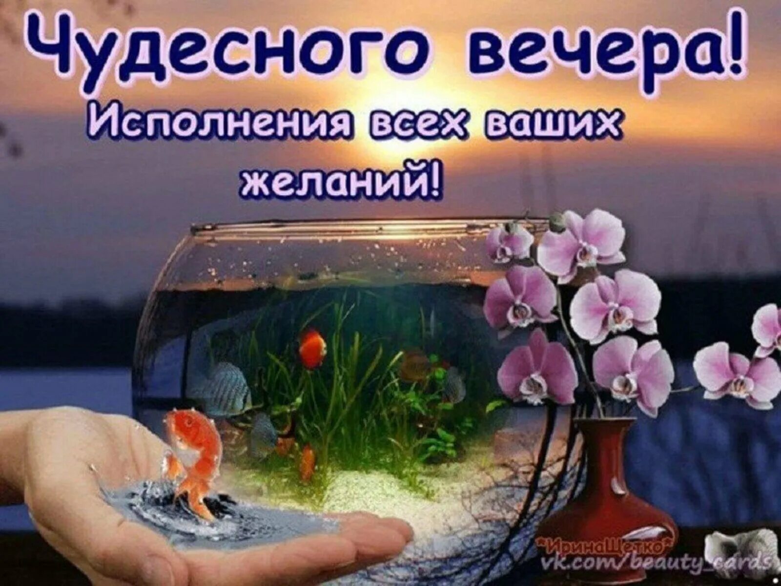 Картинка добрый вечер хорошего Добрый вечер!