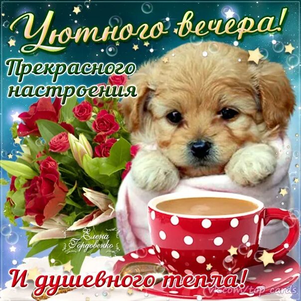 Картинка добрый вечер хорошего настроения новые Вечера доброго прекрасного настроения картинки с пожеланиями