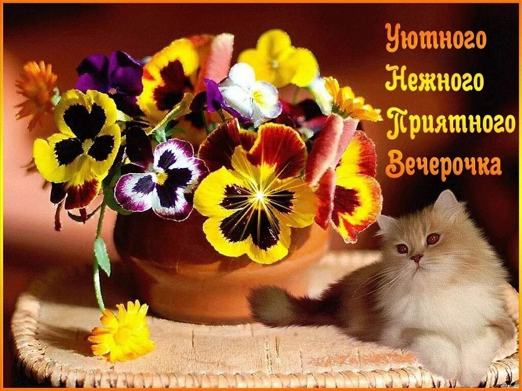 Картинка добрый вечер хорошего настроения новые ПРИВЕТСТВИЯ и ПОЖЕЛАНИЯ, открытки на каждый день. - 31 марта 2019 в 17:48