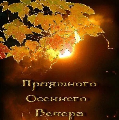 Картинка добрый вечер хорошего настроения осень фото красивого осеннего вечера: 17 тыс изображений найдено в Яндекс.Картинках Сп