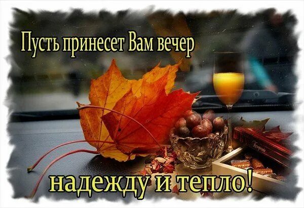 Картинка добрый вечер хорошего настроения осень ПРИВЕТСТВИЯ и ПОЖЕЛАНИЯ, открытки на каждый день. - 19 октября 2022 в 12:04