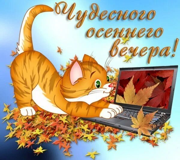 Картинка добрый вечер хорошего настроения осень Очей очарованье!.. - Просто ДОБРОЕ УТРО , пользователь Gala Soboleva Группы Мой 
