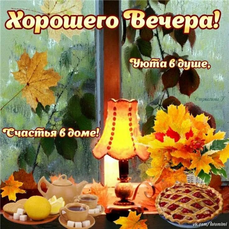 Картинка добрый вечер хорошего настроения осень Пин на доске Добрый вечер! Благодарственные открытки, Зимнее искусство, Ночь