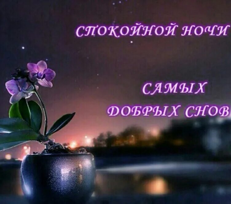 Картинка добрый вечер хорошего сна ПРИВЕТСТВИЯ и ПОЖЕЛАНИЯ, открытки на каждый день. опубликовал пост от 31 июля 20
