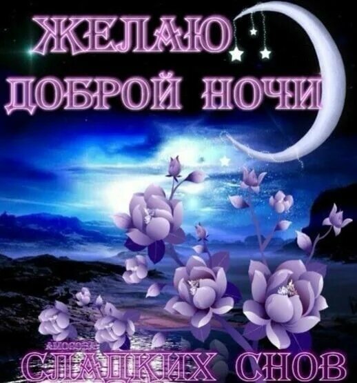 Картинка добрый вечер хорошего сна Pin by Evgenia Pustovit on ДОБРОЙ НОЧИ Good night, Movie posters, Poster