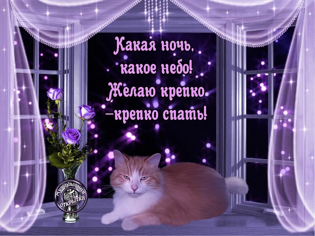 Картинка добрый вечер хорошего сна Пусть наступающая ночь подарит сказочные сны и полноценный отдых от дневных забо