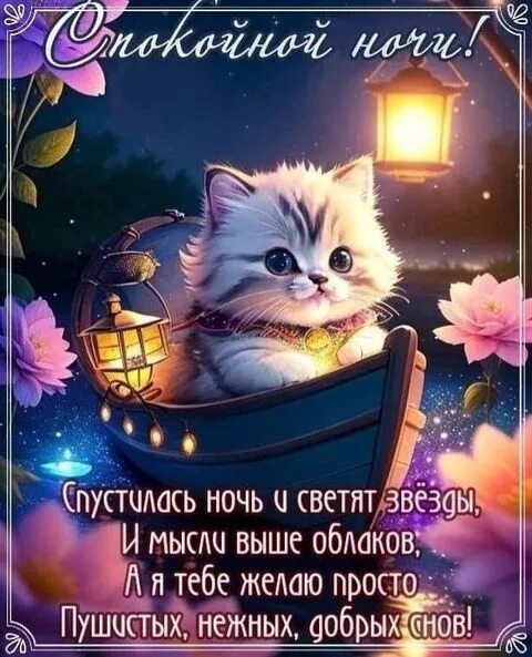 Картинка добрый вечер хорошего сна Вечер завершился, спать уже пора! Пусть отдыхается легко и будет тихой ночка! Сн