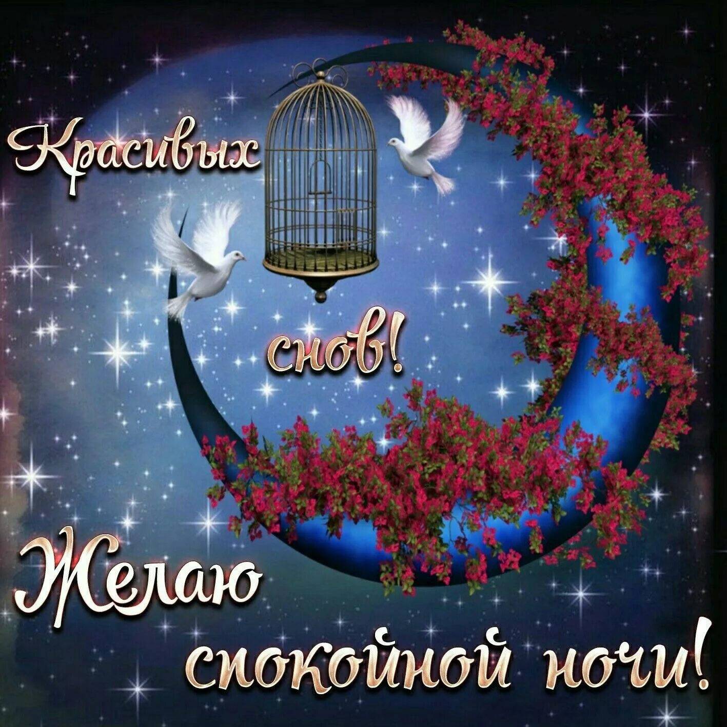 Картинка добрый вечер хорошего сна Пин на доске Спокойной ночи! Ночь, Спокойной ночи, Счастливые картинки
