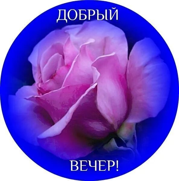 Картинка добрый вечер леночка ПРИВЕТСТВИЯ и ПОЖЕЛАНИЯ, открытки на каждый день. опубликовал пост от 10 сентябр