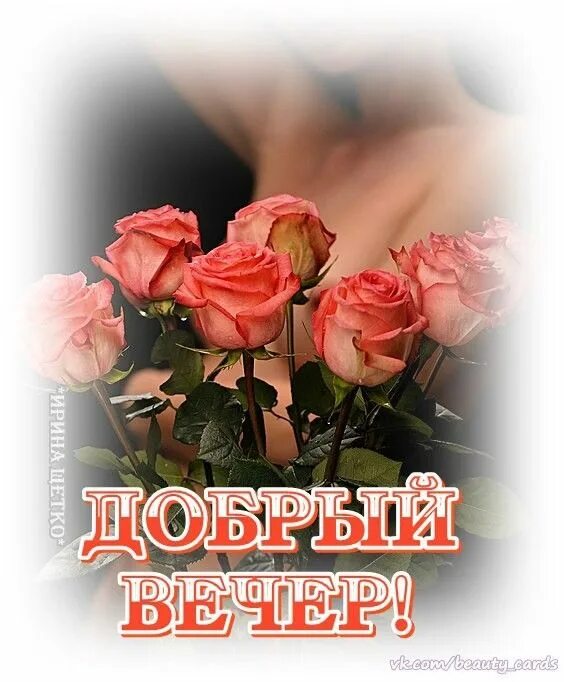 Картинка добрый вечер леночка Пин от пользователя 89109385610 Боселова Валентина на доске ДОБРЫЙ ВЕЧЕР Открытк