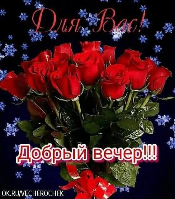 Картинка добрый вечер леночка Pin on Добрый вечер App, Plants