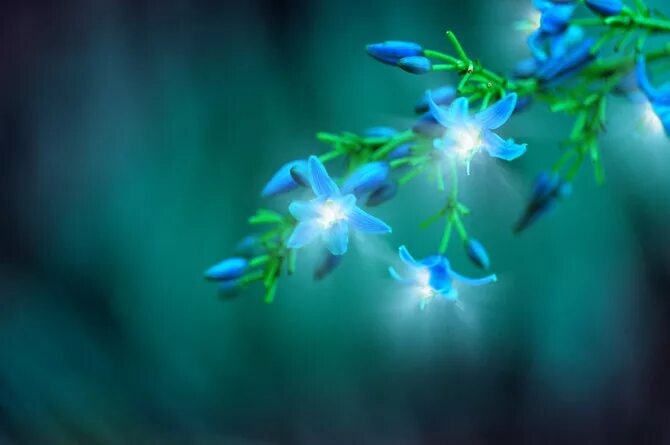 Картинка добрый вечер леночка 475121.jpg- Viewing image -The Picture Hosting