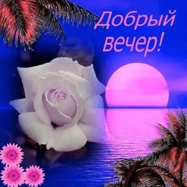 Картинка добрый вечер леночка Поздравь Друзей ➡ https://vk.cc/cdLJeD 2023 Доброе Утро - Доброй Ночи ВКонтакте