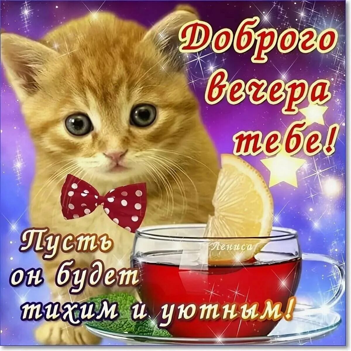 Картинка добрый вечер мужчине скачать бесплатно Открытки приятного вечера мужчине - 60 фото