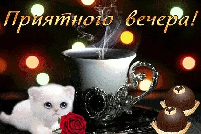Картинка добрый вечер мужчине скачать бесплатно Pin by Игорь Макеров on Поздравления и пожелания Glassware, Holiday decor, Candl