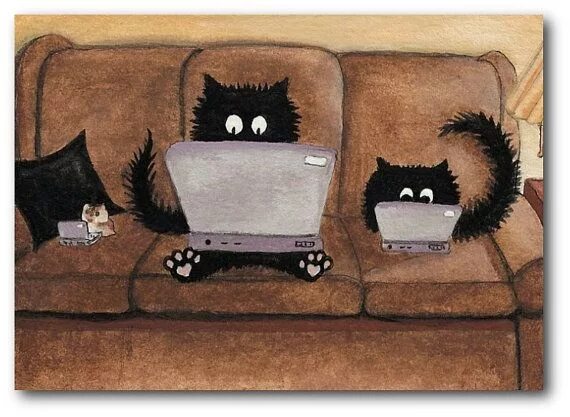 Картинка добрый вечер мужчине смешная Laptop Lap Cats Peek Boo with CosmoLE by DreamCatchingStudio, $7.99 Cats illustr