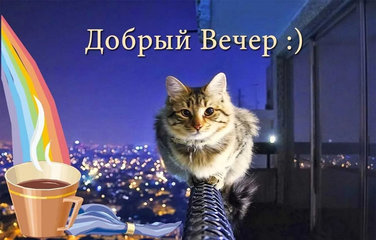 Картинка добрый вечер мужчине смешная Друзья, всем желаю хорошего вечера... 2023 Звездный Медведь ВКонтакте