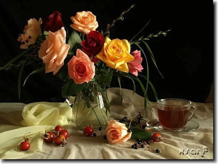Картинка добрый вечер нежные скачать бесплатно Épinglé par Francine Beve sur un bon café