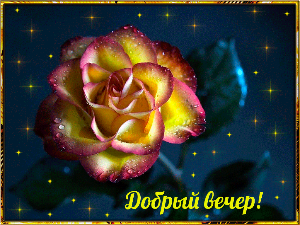 Картинка добрый вечер оля Добрый вечер света - найдено 86 картинок