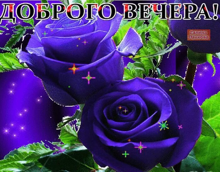 Картинка добрый вечер оля Pin su Добрый вечер